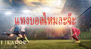 แทงบอล pantip