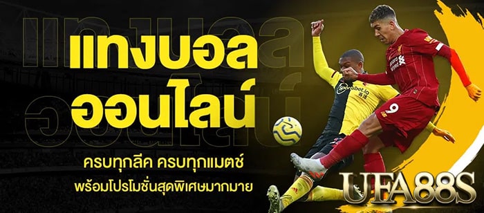 แทงบอลtrue wallet